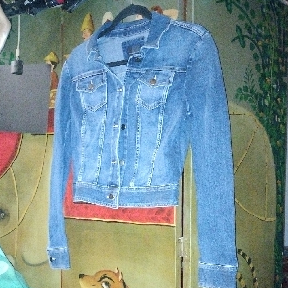 The Limited Classic Blue Denim Jean Jacket